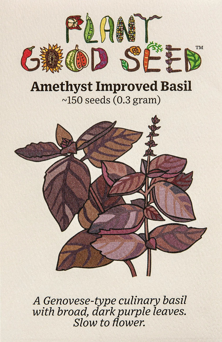 seeds - basil