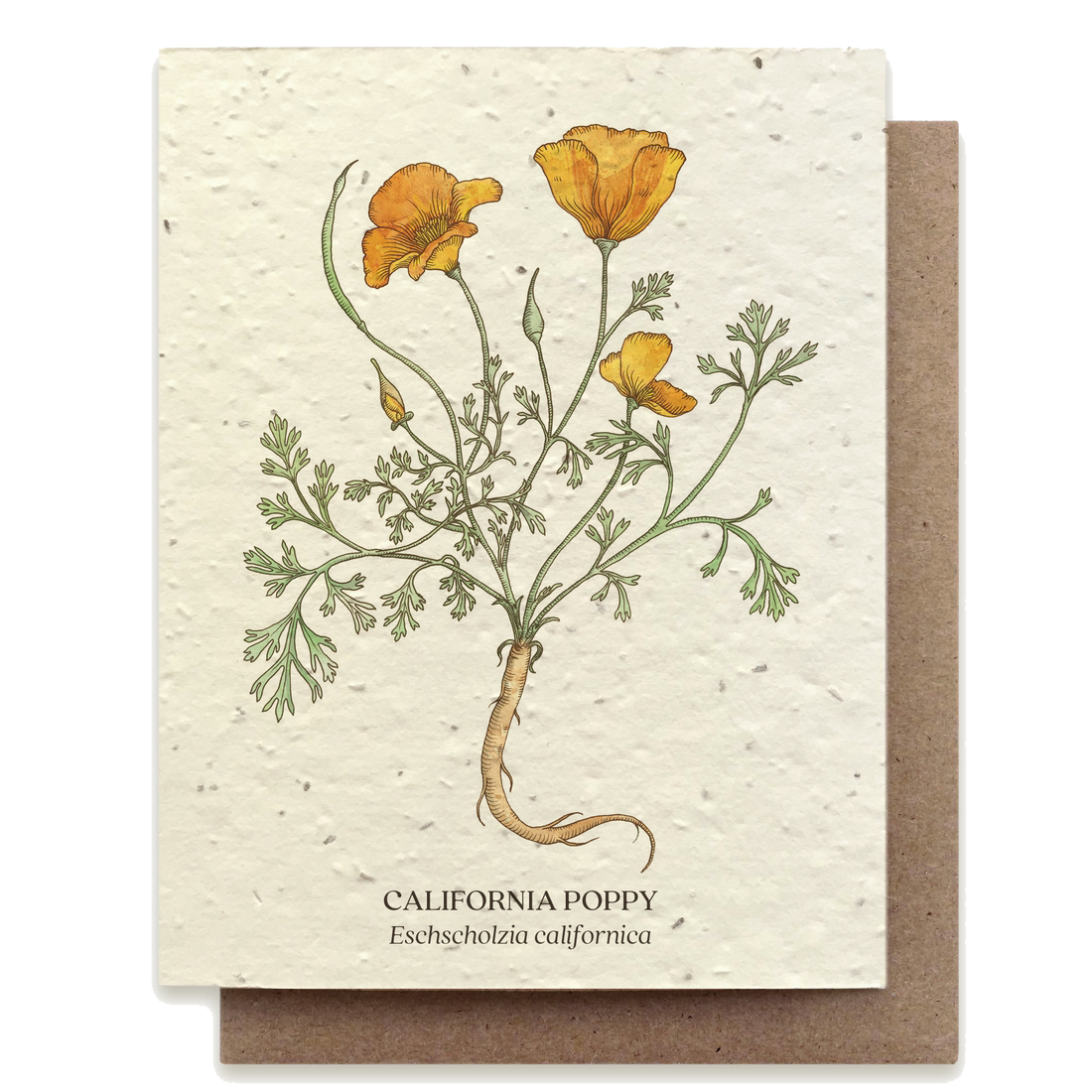 plantable greeting card