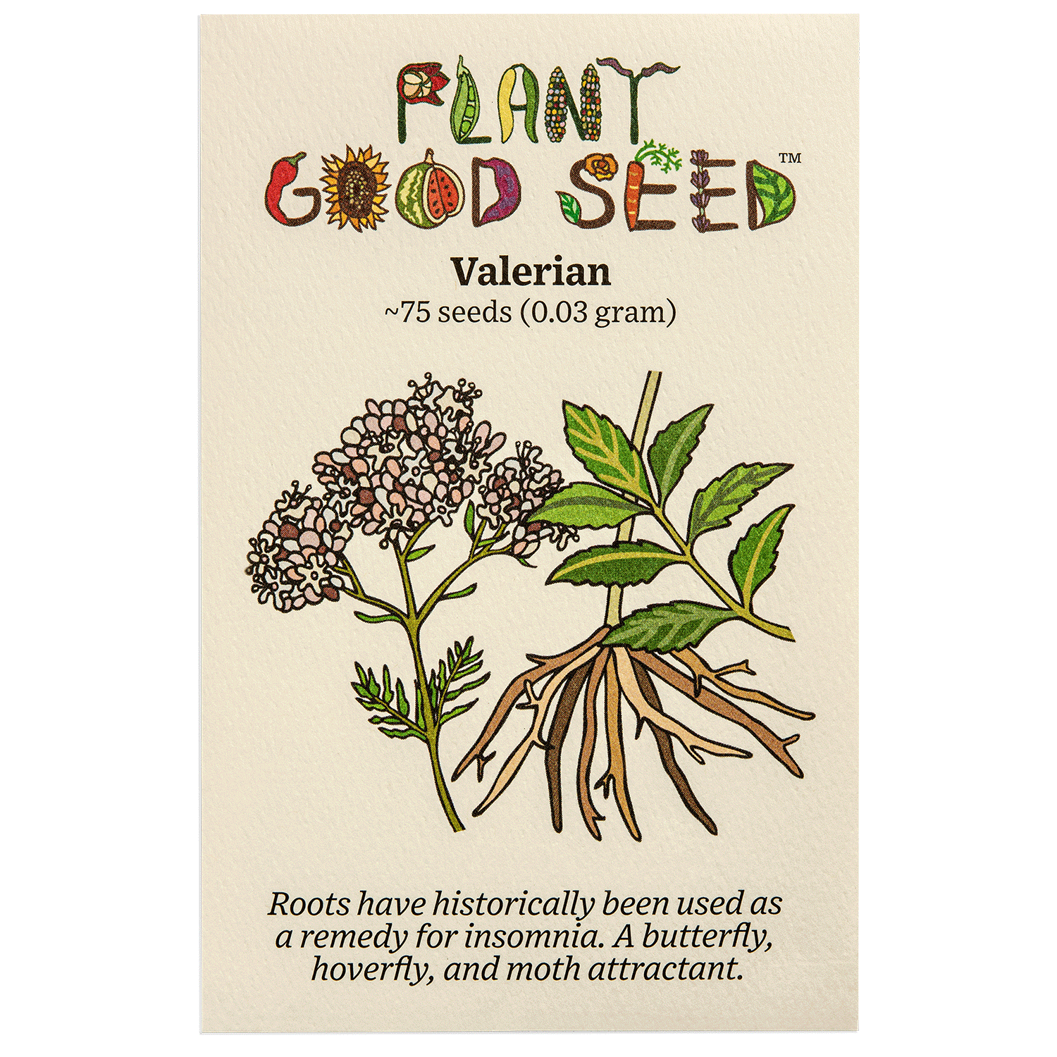 seeds - herbs